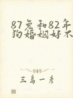 87兔和82年狗婚姻好不好