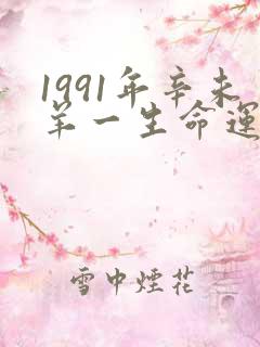 1991年辛未羊一生命运