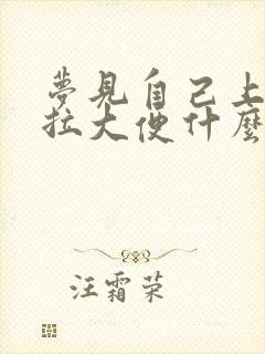 梦见自己上厕所拉大便什么意思