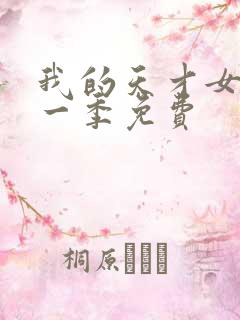 我的天才女友第一季免费