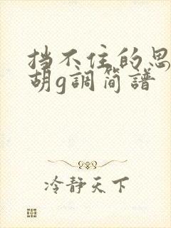 挡不住的思念二胡g调简谱