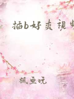 插b好爽视频