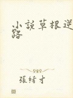 小说草根逆袭之路