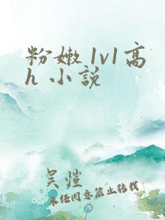 粉嫩 1v1高h 小说
