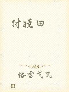 付晓田