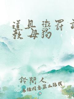 道具 惩罚 调教 母狗