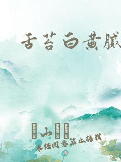 舌苔白黄腻口臭