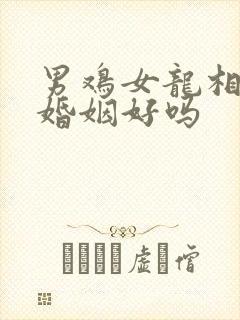 男鸡女龙相配的婚姻好吗
