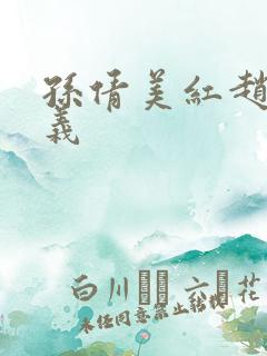 孙倩美红赵振高义