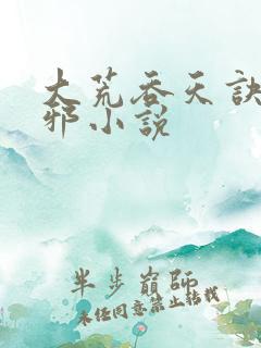 大荒吞天诀柳无邪小说