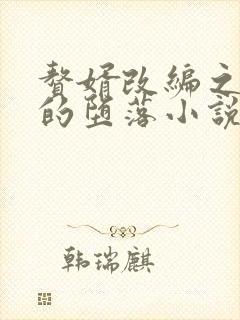 赘婿改编之众女的堕落小说结局