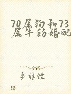 70属狗和73属牛的婚配好不好