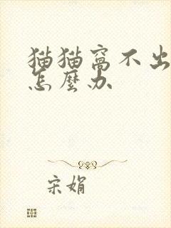 猫猫窝不出尿该怎么办