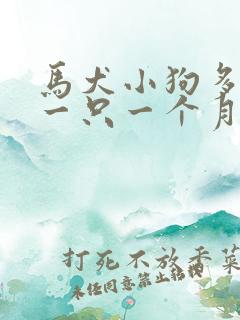 马犬小狗多少钱一只一个月