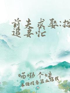 前夫求娶:总裁追妻忙