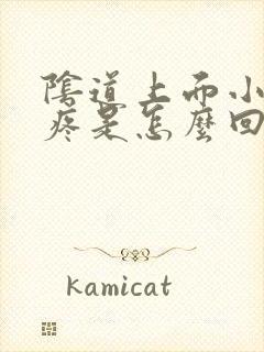 阴道上面小肚子疼是怎么回事