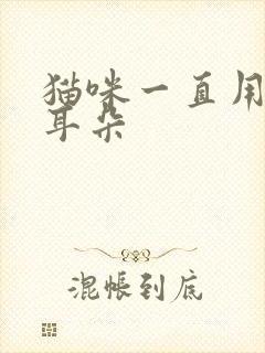 猫咪一直用脚挠耳朵