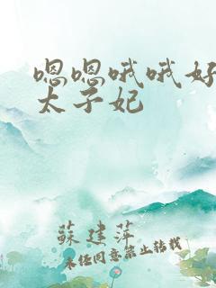 嗯嗯哦哦好舒服太子妃