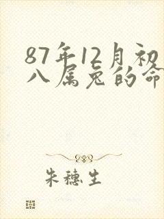 87年12月初八属兔的命运如何
