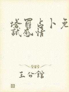 塔罗占卜免费测试感情