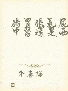 肠胃胀气屁多看中医还是西医