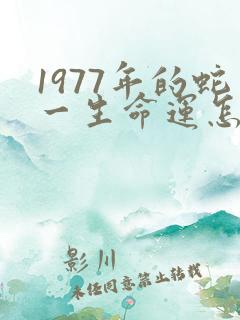 1977年的蛇一生命运怎样