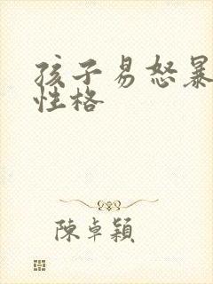 孩子易怒暴躁的性格