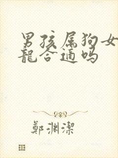 男孩属狗女孩属龙合适吗