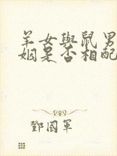 羊女与鼠男的婚姻是否相配