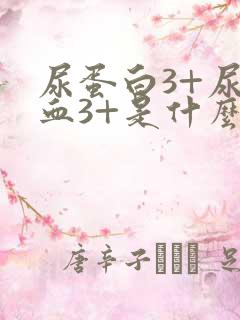 尿蛋白3+尿潜血3+是什么意思