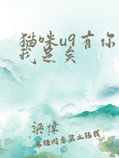 猫咪u9有你有我足矣