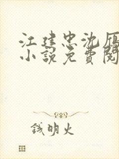 江建忠沈雁飞的小说免费阅读