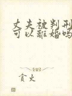 丈夫被判刑妻子可以离婚吗