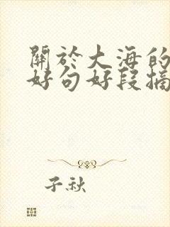 关于大海的好词好句好段摘抄大全