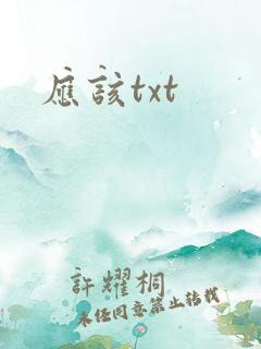 应该txt