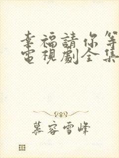 幸福请你等等我电视剧全集免费观看26集