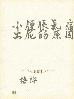 小腹胀气痛放不出屁的原因