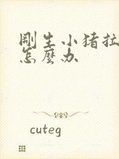 刚生小猪拉黄稀怎么办