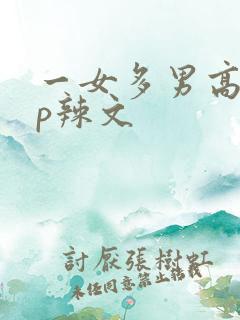 一女多男高hnp辣文