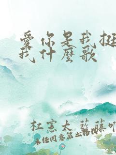 爱你是我挺你是我什么歌