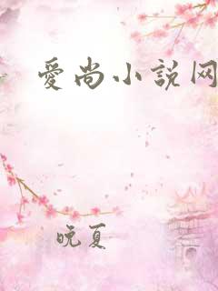 爱尚小说网