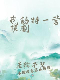 我的特一营 电视剧