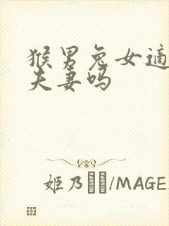 猴男兔女适合做夫妻吗