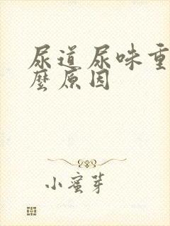 尿道尿味重是什么原因