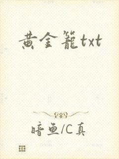 黄金笼txt
