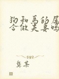 狗和马的属相适合做夫妻吗