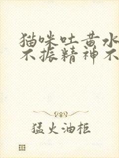 猫咪吐黄水食欲不振精神不好