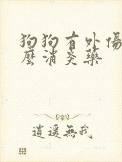 狗狗有外伤吃什么消炎药