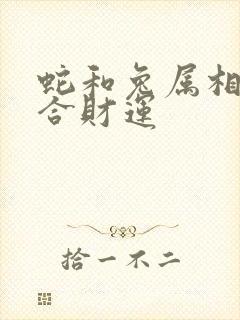 蛇和兔属相合不合财运