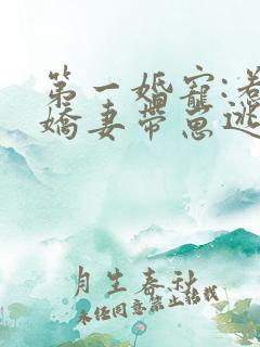 第一婚宠:惹火娇妻带崽逃